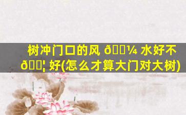 树冲门口的风 🌼 水好不 🐦 好(怎么才算大门对大树)